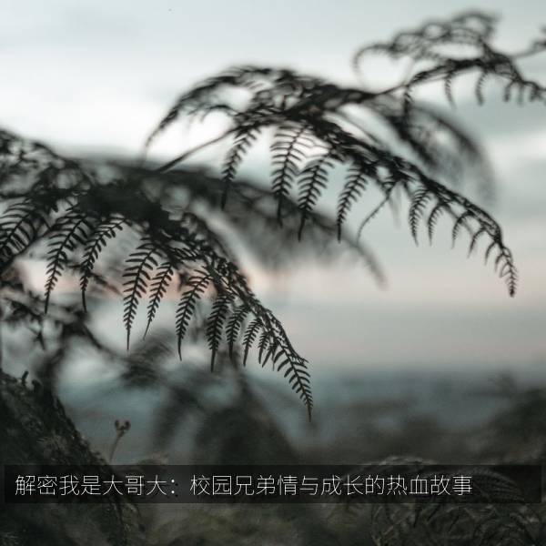 解密我是大哥大：校园兄弟情与成长的热血故事 海报